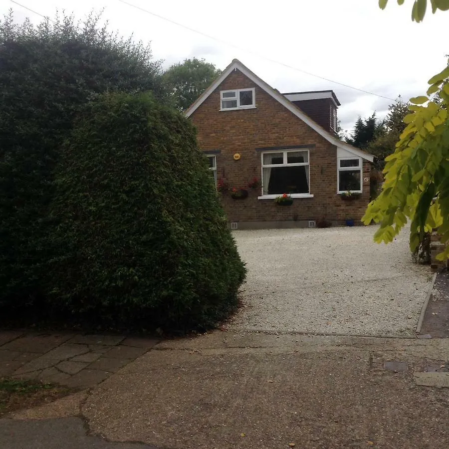 Number Forty One Bed & Breakfast Hillingdon