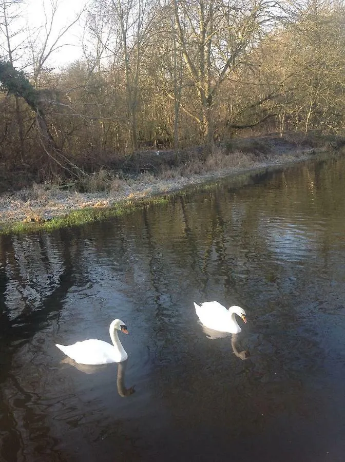 Number Forty One Bed & Breakfast Hillingdon United Kingdom